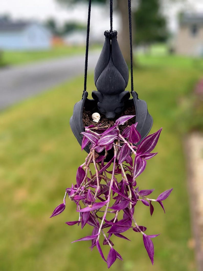 Hanging Bat Plant Pot