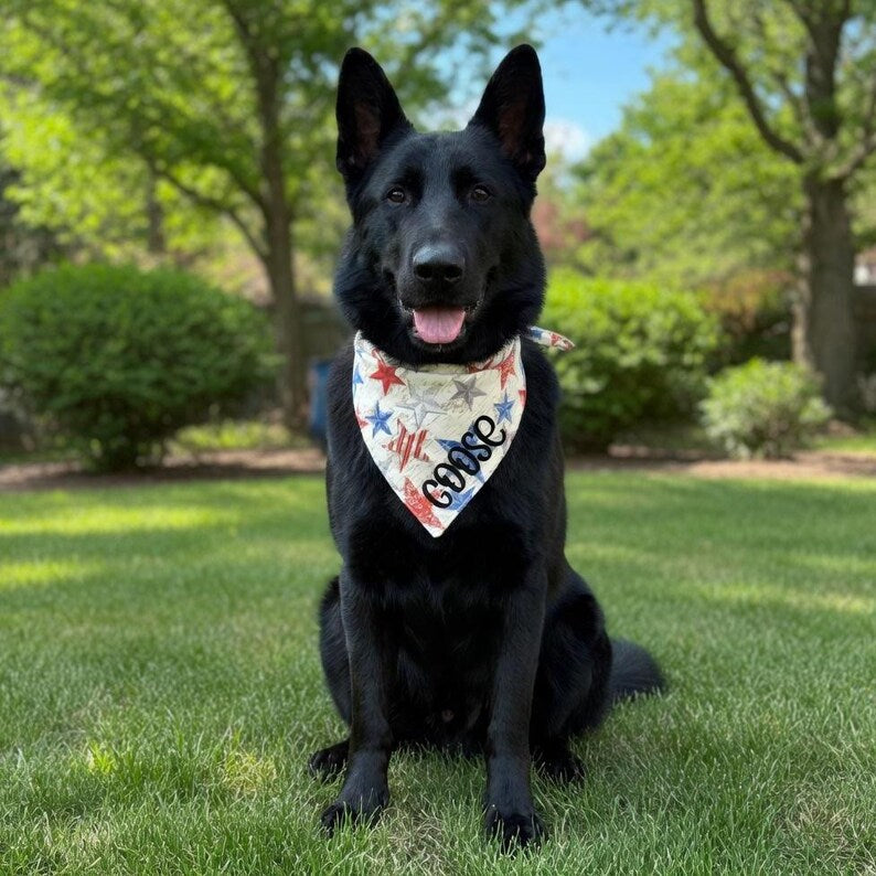 Personalized Patriotic Dog Bandanas
