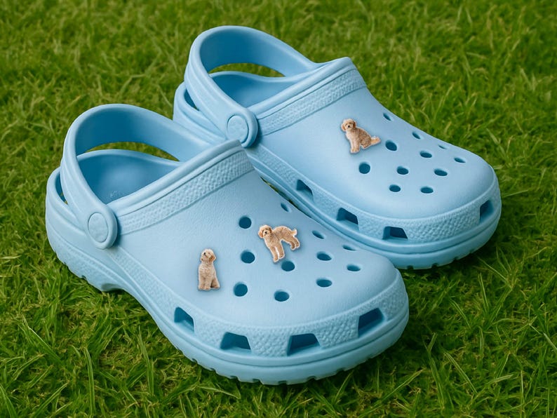 Custom Acrylic Clog Charms – Die Cut Shoe Charm