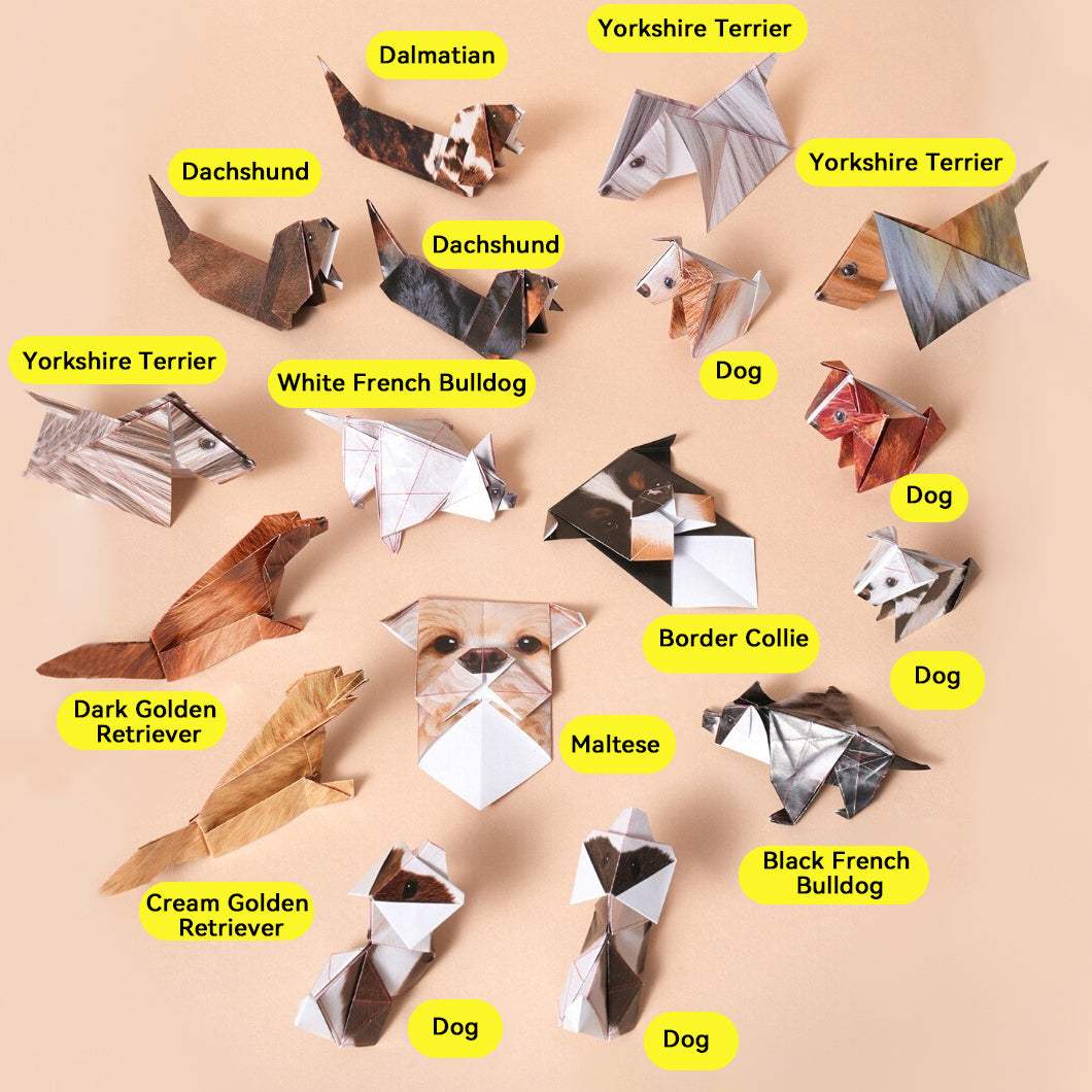 🐾 DIY Animal Origami Kit--3 Themes & 50 Sheets