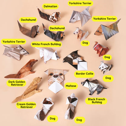 🐾 DIY Animal Origami Kit--3 Themes & 50 Sheets
