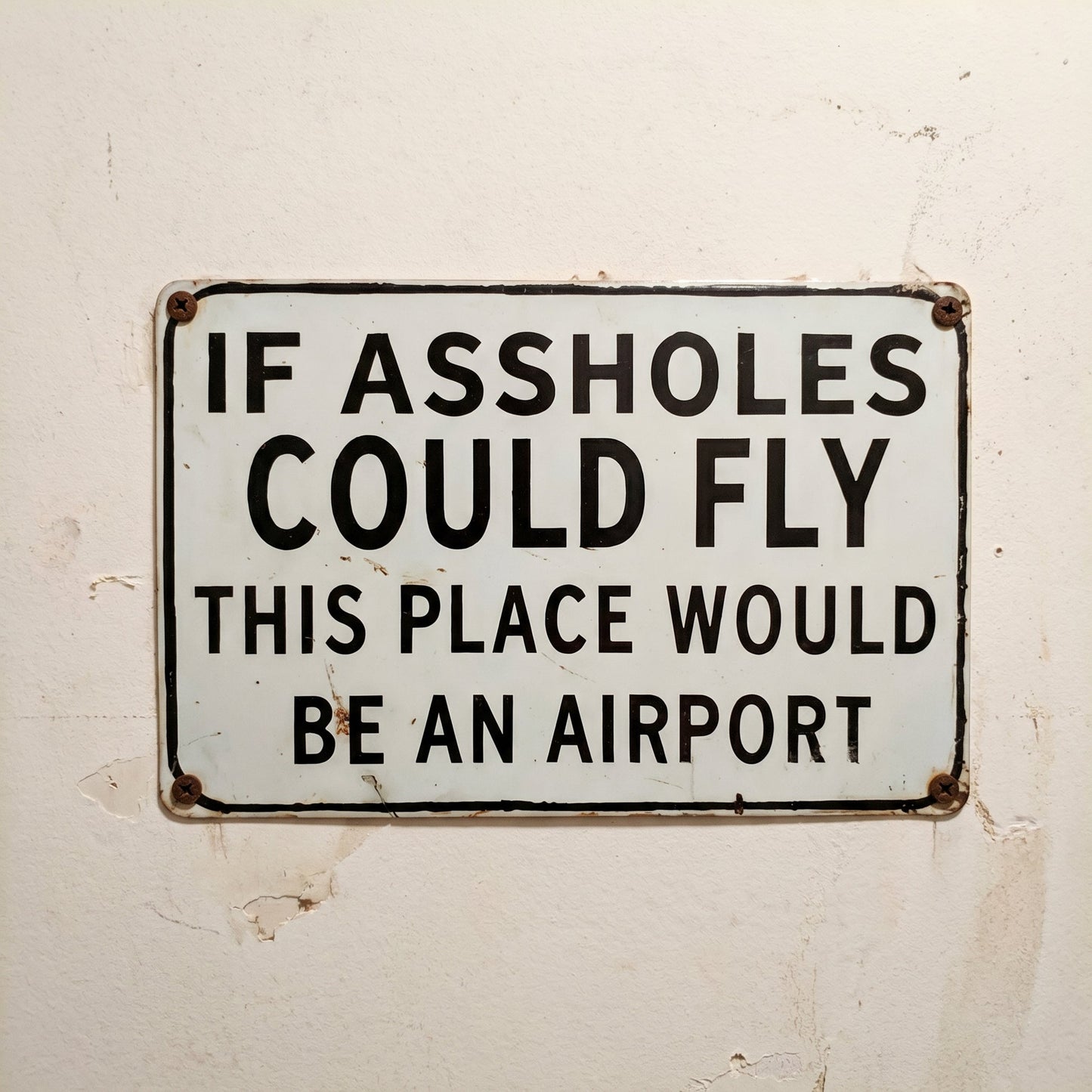 Funny "If Assholes Could Fly" Vintage Metal Sign – Hilarious Man Cave Wall Decor