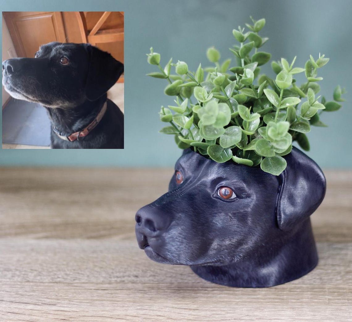Custom Pet Head Planter-Personalized Pet Portrait Pot for Succulents & Indoor Plants, Pet Memorial Gift, Hand-Painted Decor
